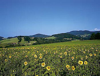 Landkreis Freyung-Grafenau